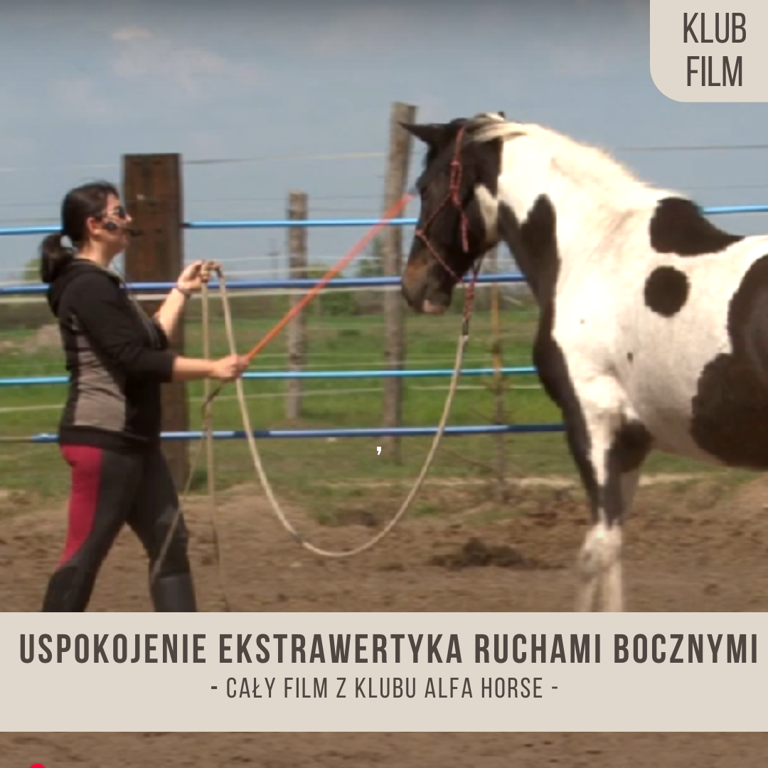 uspokojenie_ekstrawertyka_ruchami_bocznymi