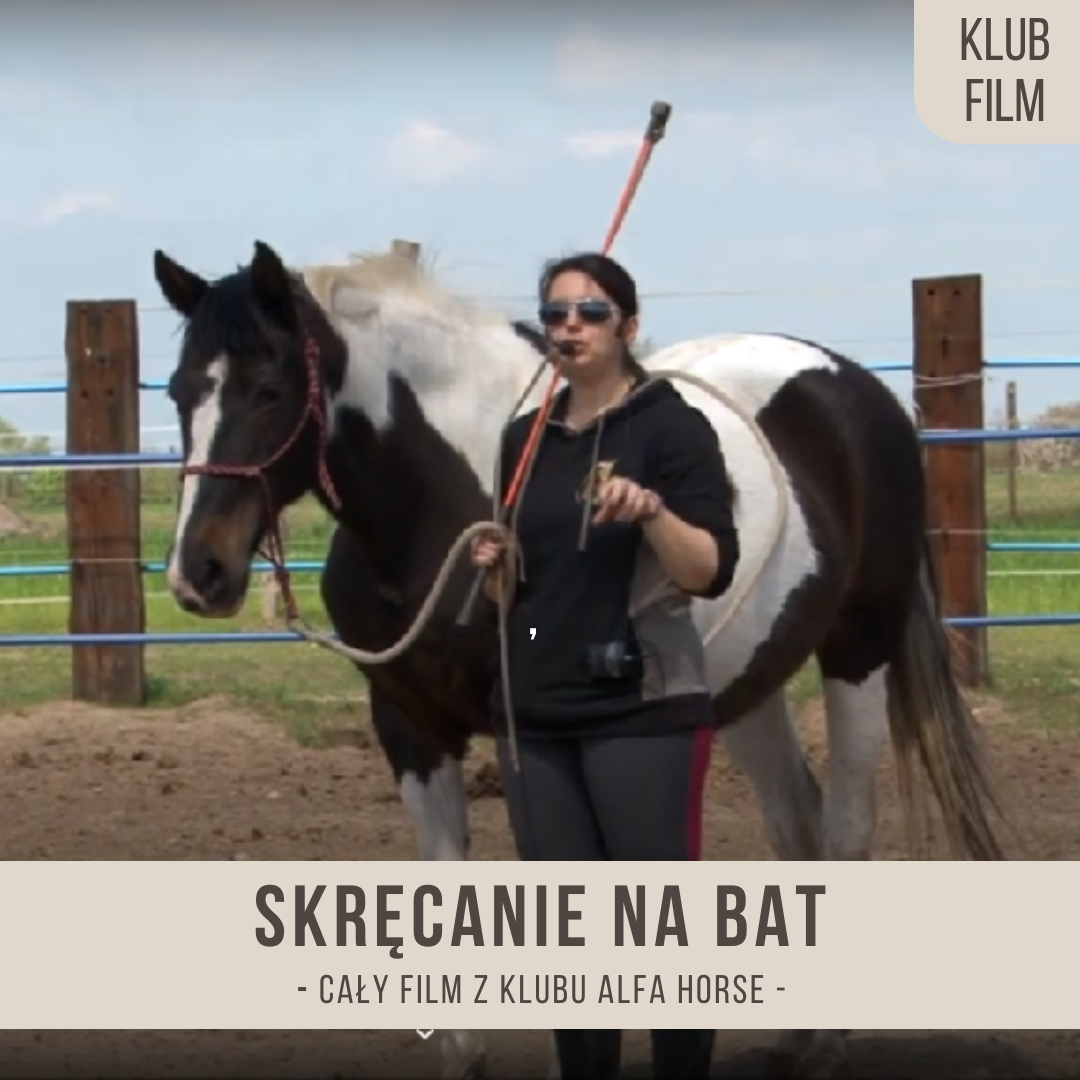 skrecanie_na_bat