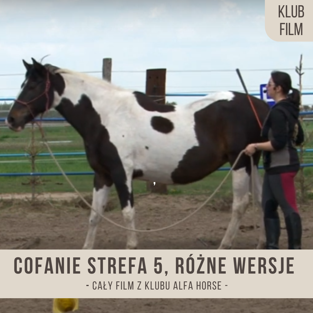cofanie_strefa_piata_rozne_wersje