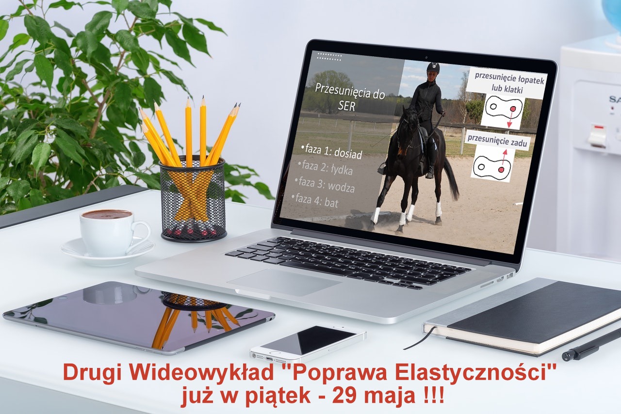 wyklad_elastycznosc_konie_trening_2