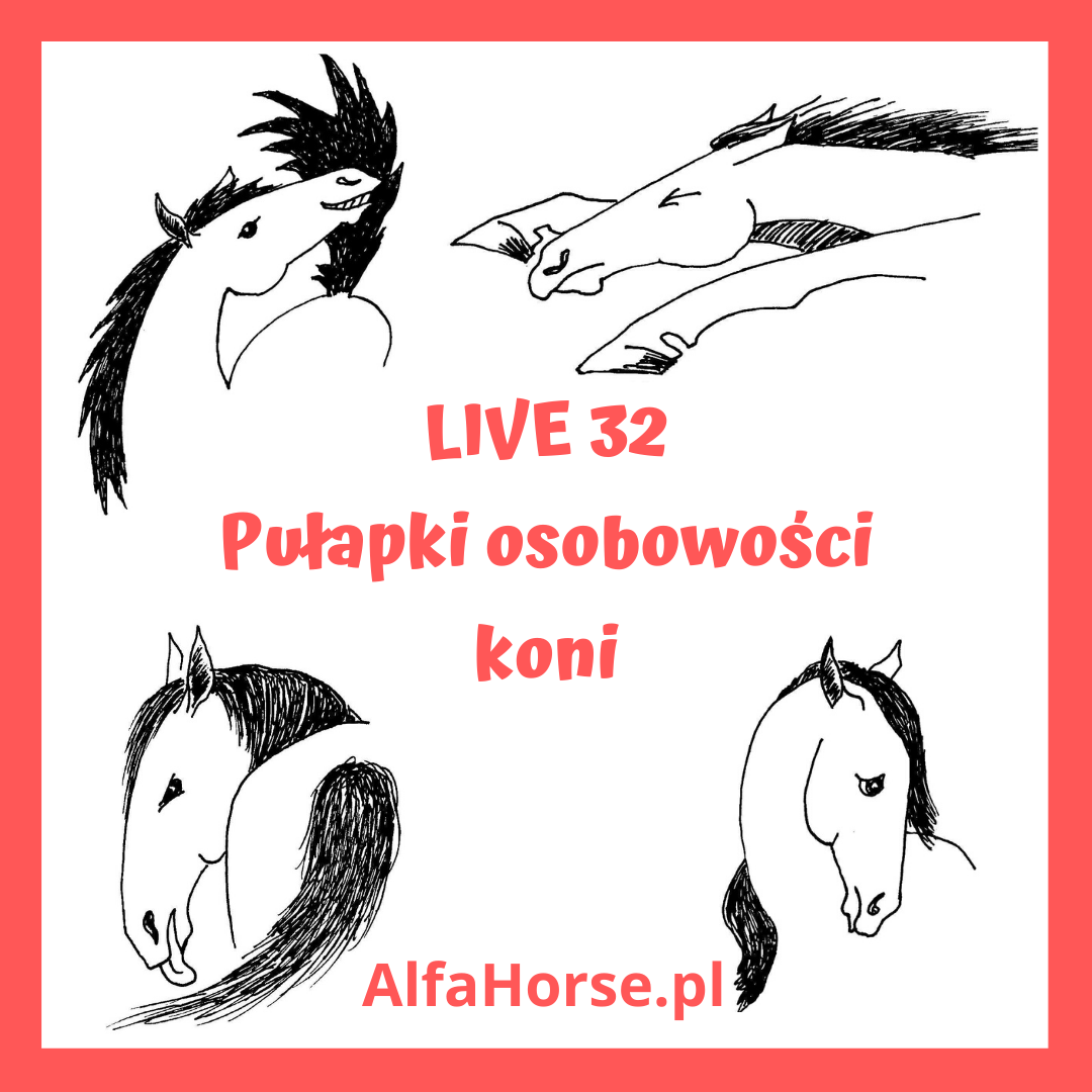 osobowosc_konia_pulapki_problemy