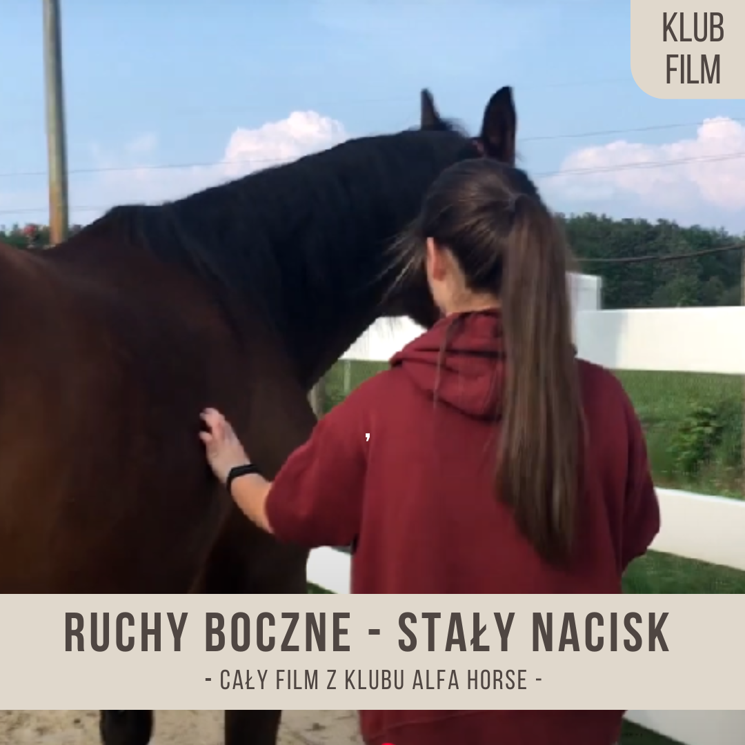 ruchy_boczne_na_staly_nacisk