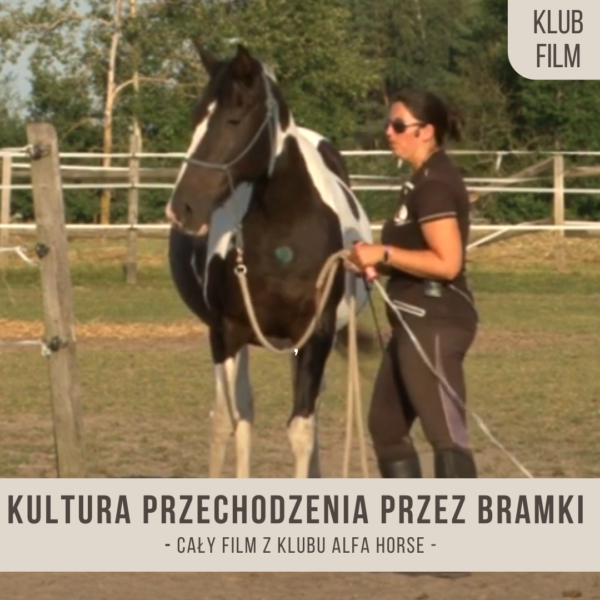 kultura_przechodzenia_przez_bramki