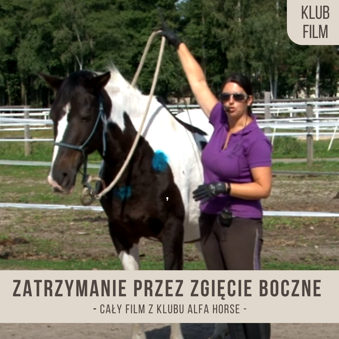 zatrzymanie_przez_zgiecie_boczne