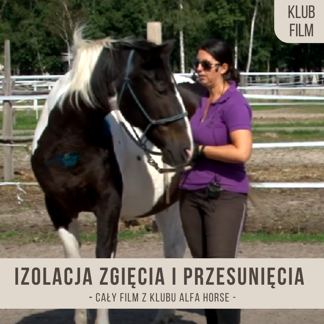 izolacja_zgieci_i_przesuniecia