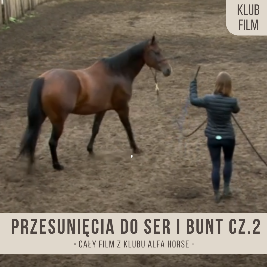 przesuniecia_do_ser_bunt_i_dluzsze_utrzymanie_wygiecia_czesc_druga