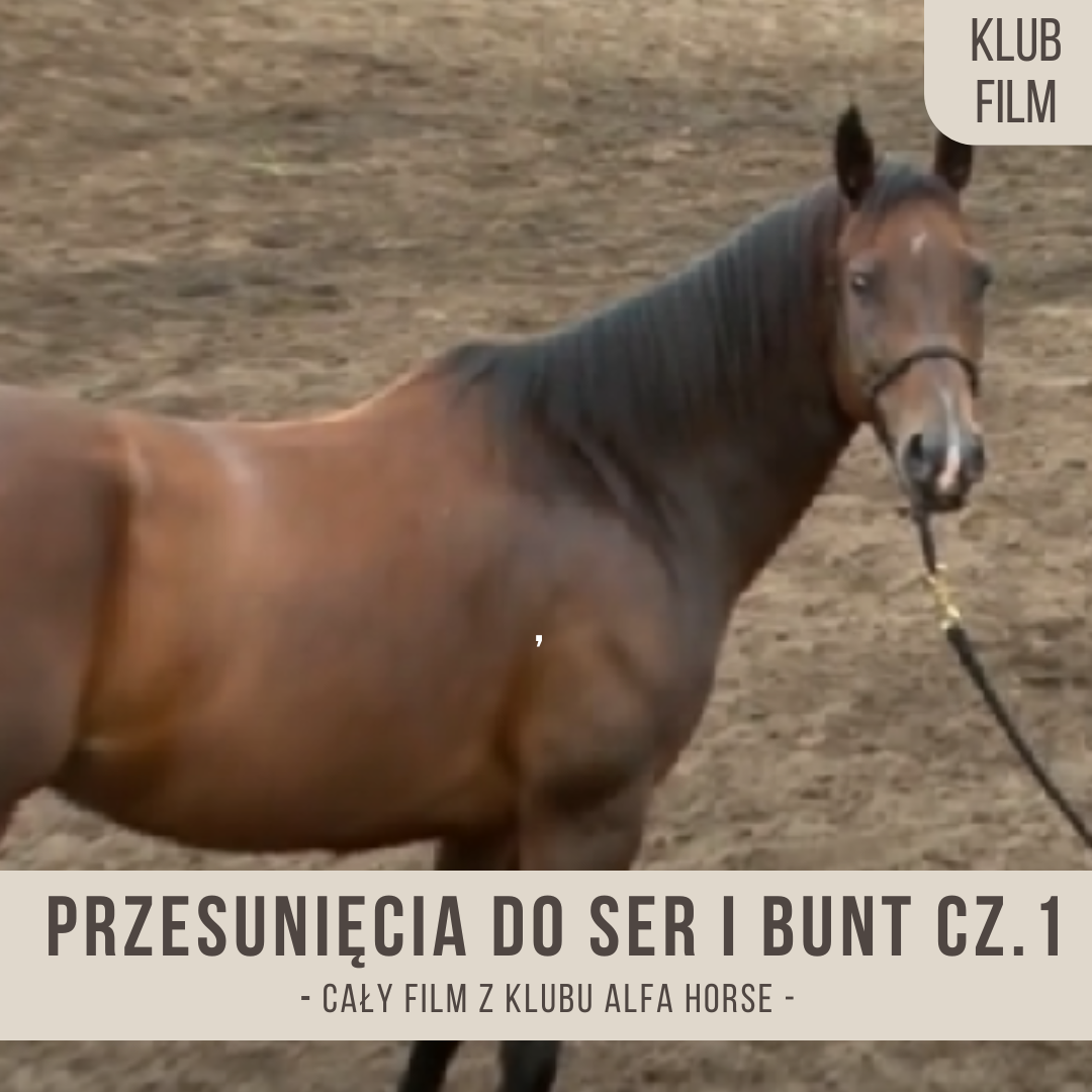 przesunięcia_do_ser_bunt_i_dluzsze_utrzymanie_wygiecia_czesc_pierwsza