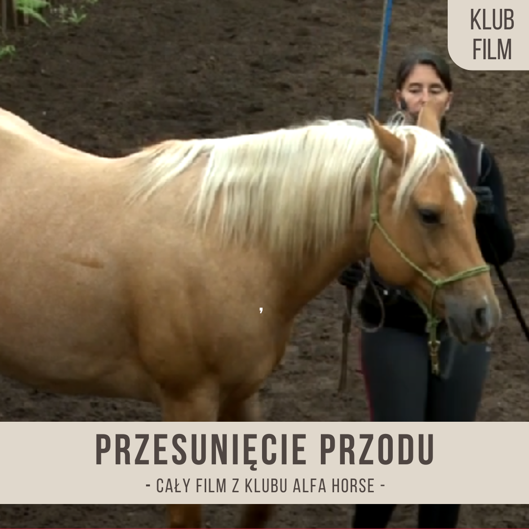 przesuniecie_przodu