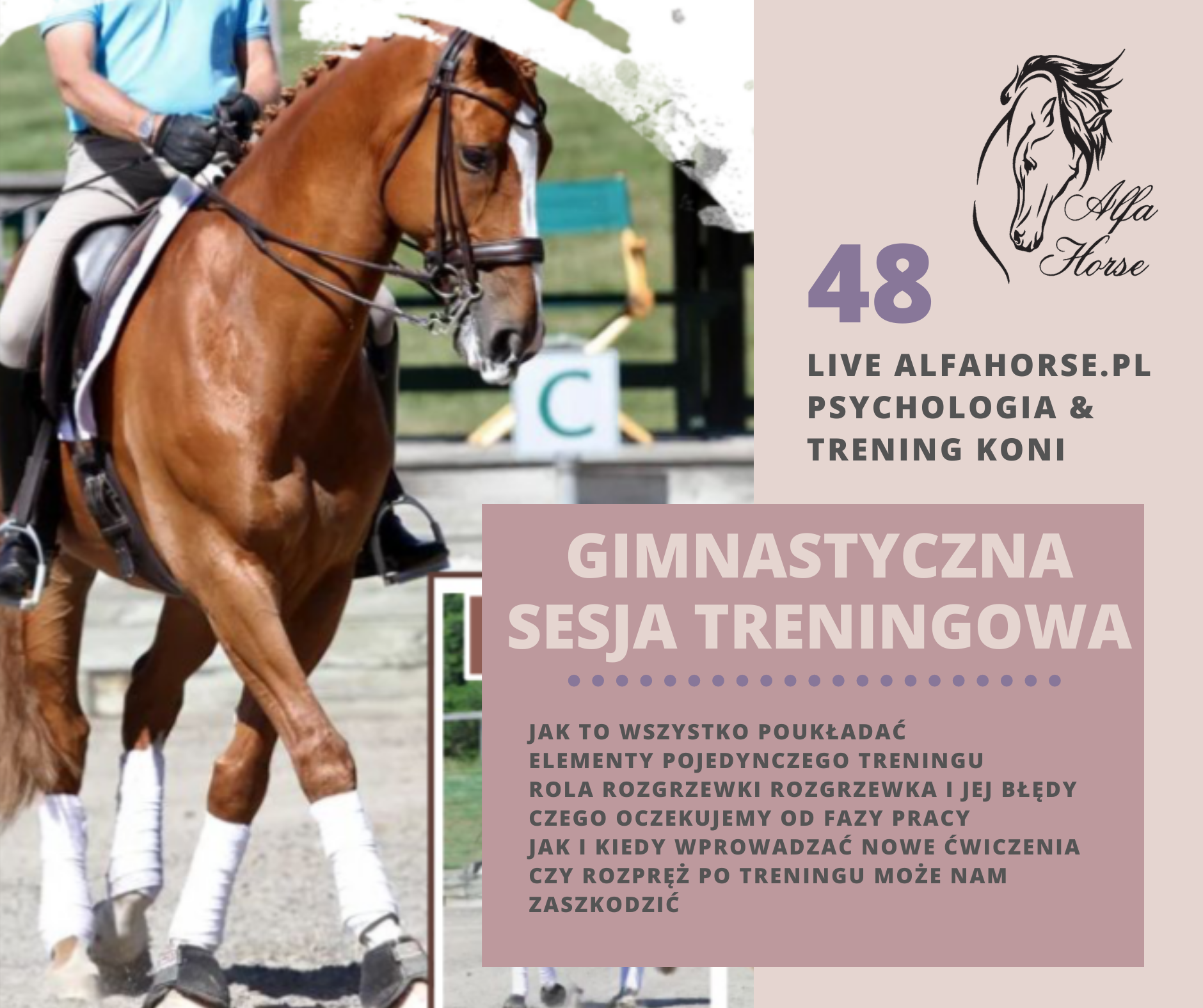 gimnastyczna_sesja_treningowa_koni_ujezdzenie_dressage_chody_boczne