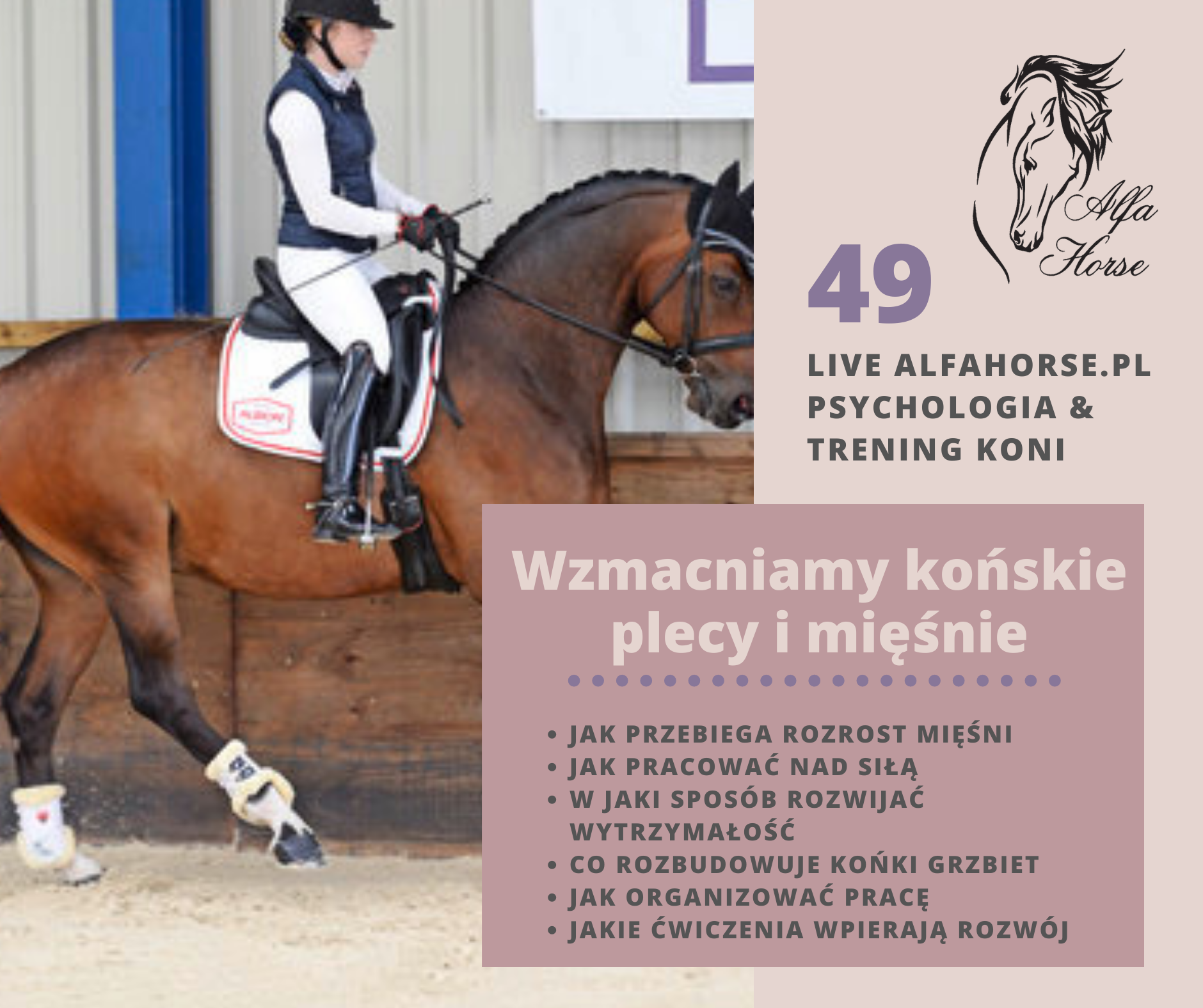 miesnia_rozwoj_zad_grzbiet_kon_trening