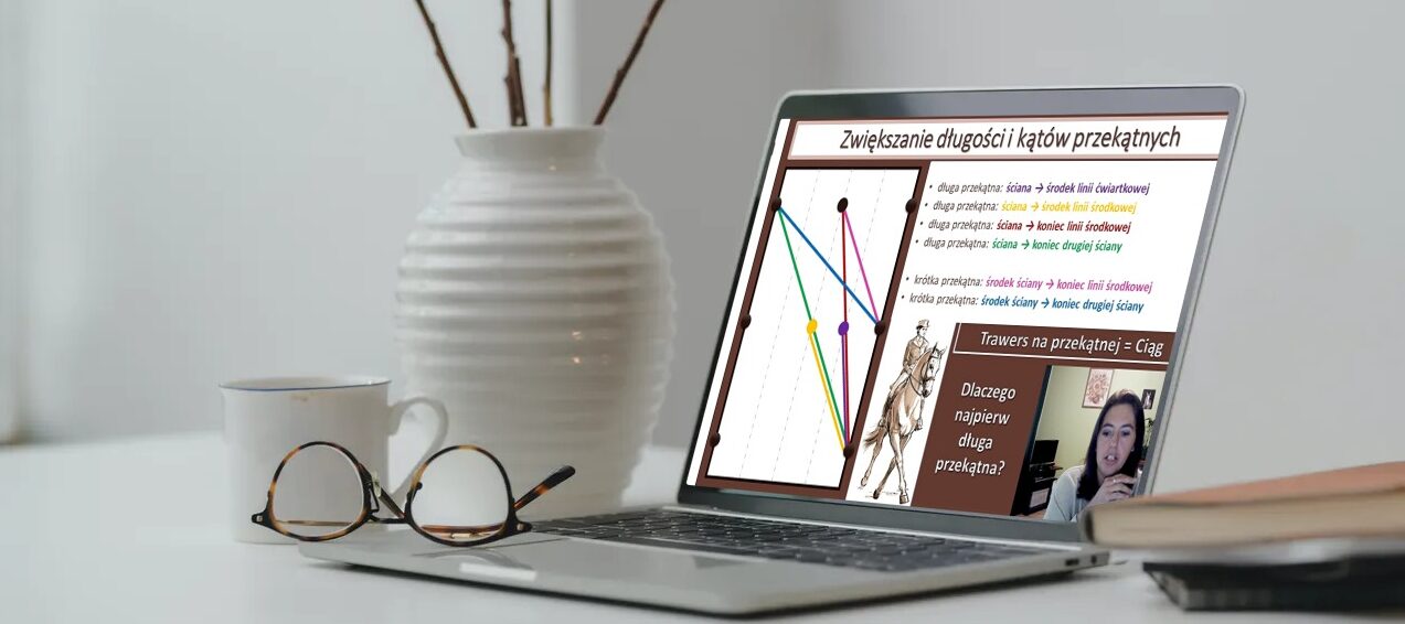 alfahorse_trening_konia_zebranie_wyklad_6