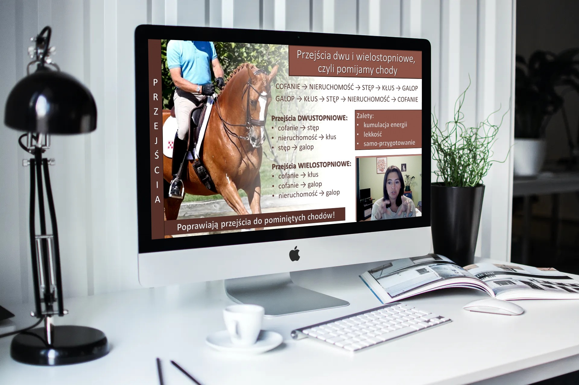 alfahorse_trening_konia_zebranie_wyklad_1