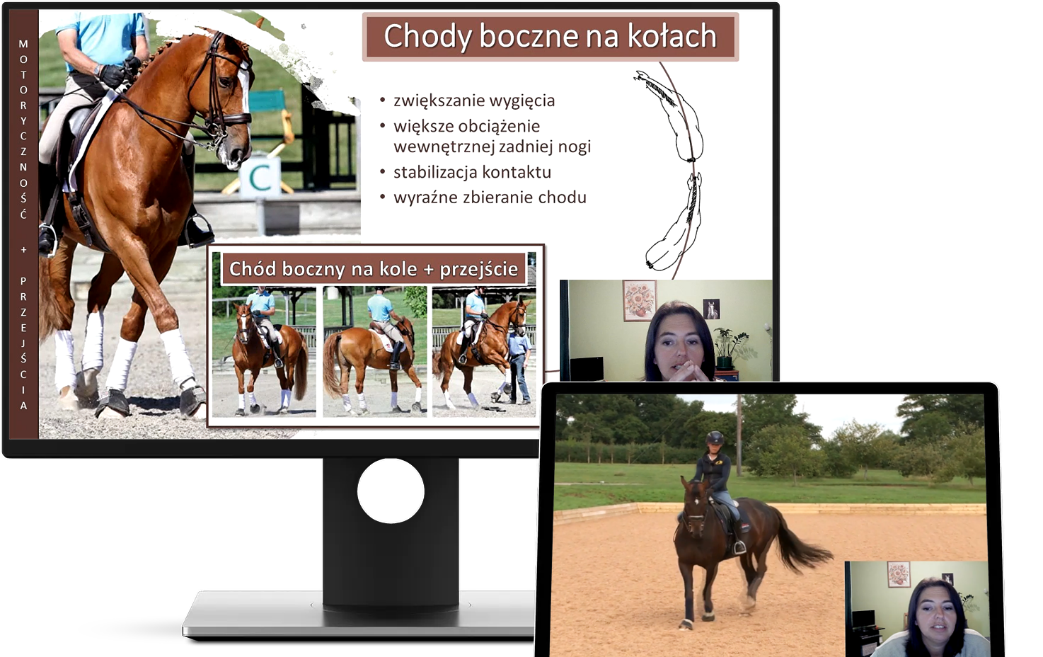 alfahorse_trening_konia_zebranie_wyklad_7