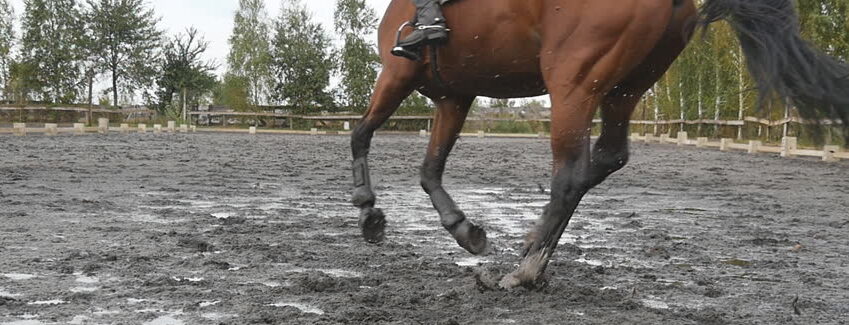 bloto_podloze_kon_horse