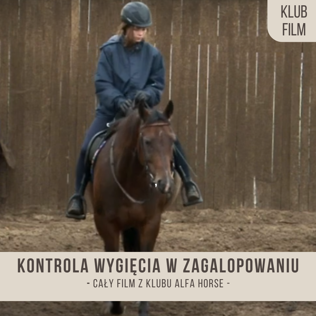 kontrola_wygiecia_w_zagalopowaniu