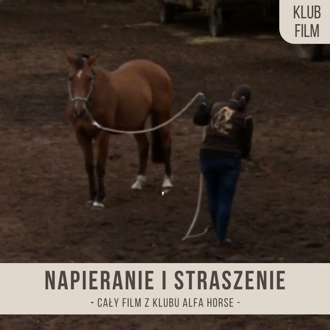 napieranie_i_straszenie