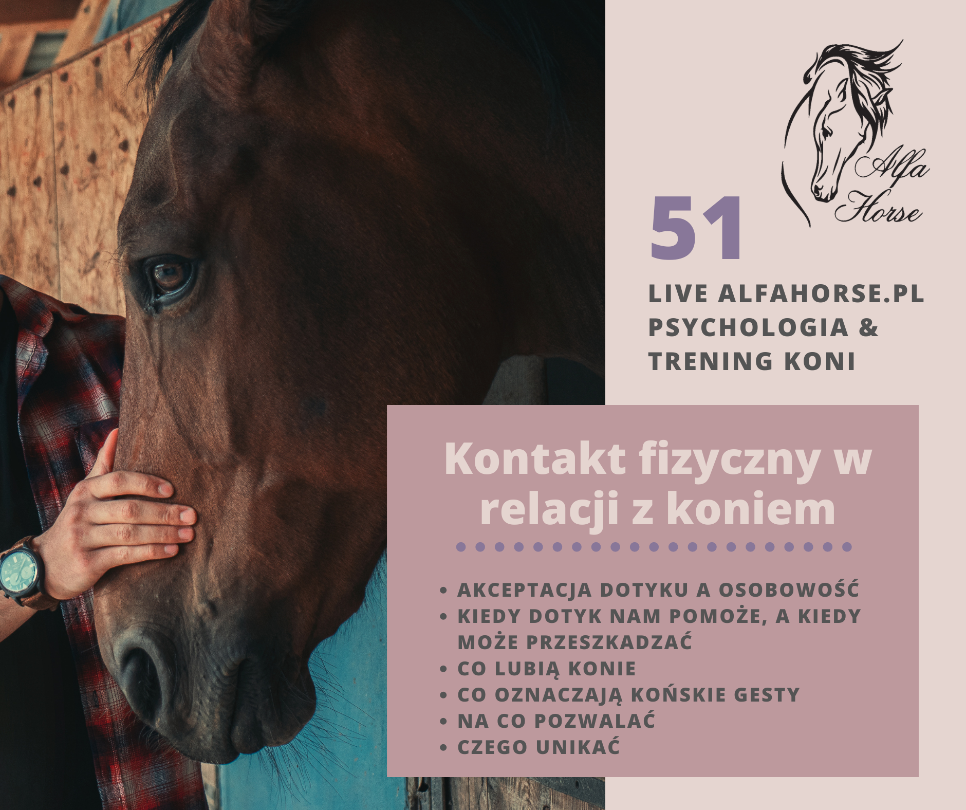 kontakt_fizyczny_konie_trening_charakter_dotyk_glaskanie
