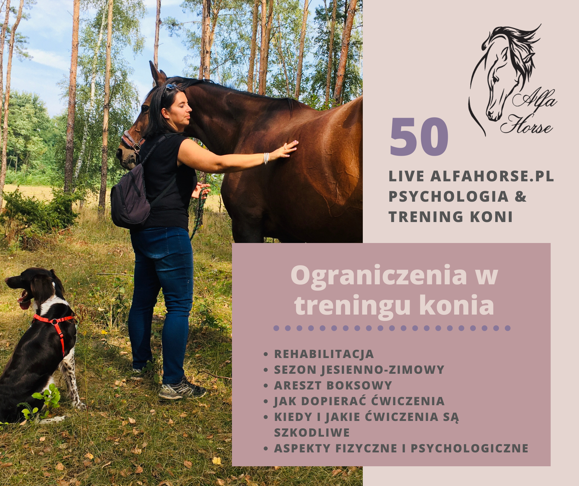 ograniczenia_trening_konie_gimnastyka_zdrowie_rehabilitacja_pogoda