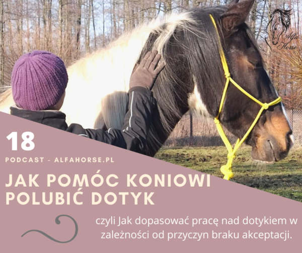 podcast_pomoc_koniowi_polubic_dotyk_trening_koni_glaskanie