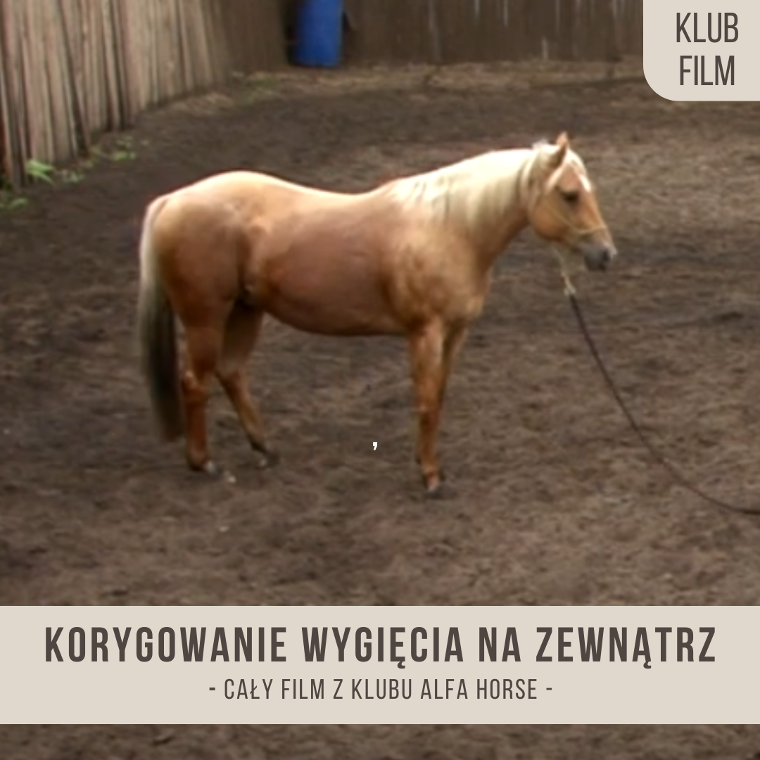 korygowanie_wygiecia_na_zewnatrz