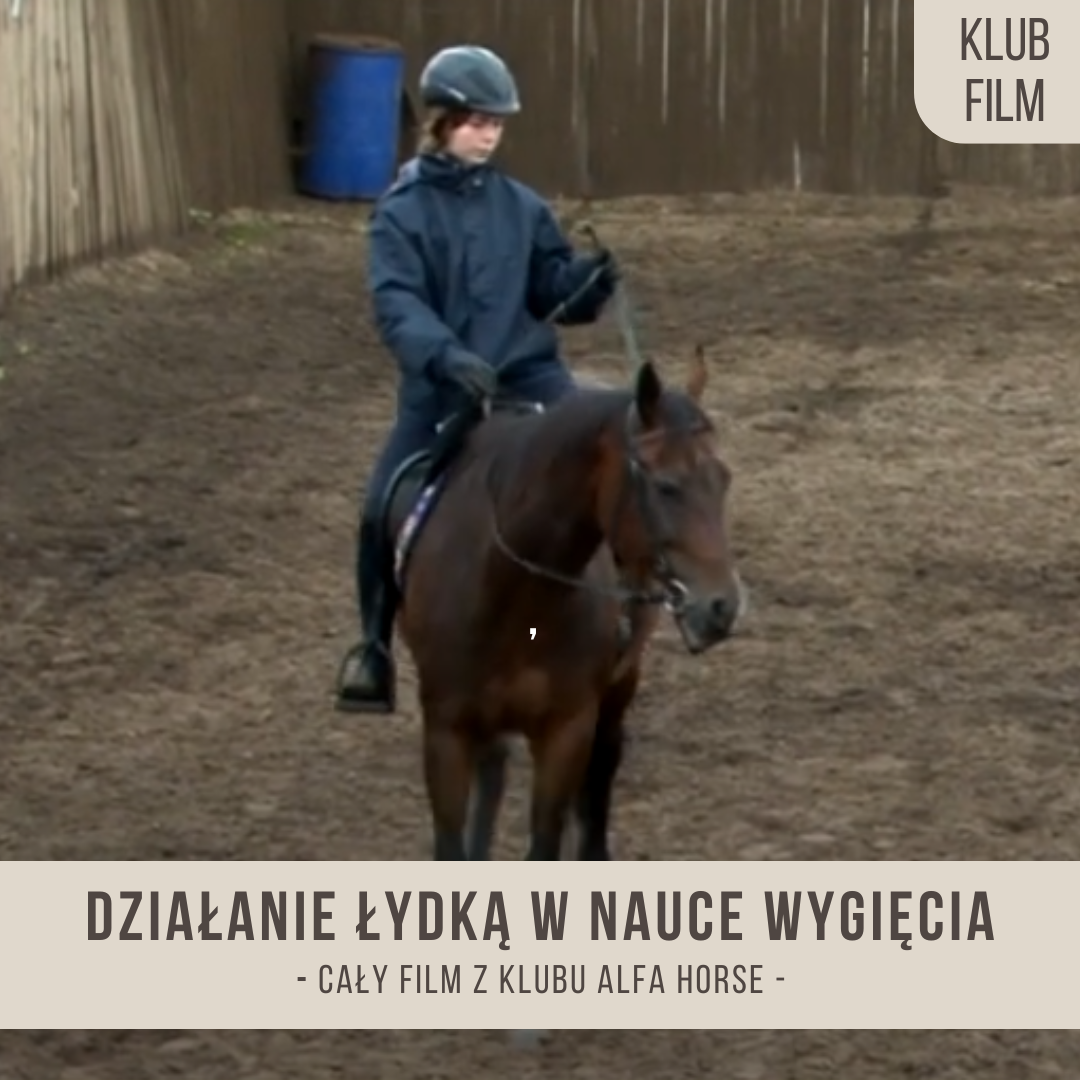 dzialanie_lydka_w_nauce_wygiecia