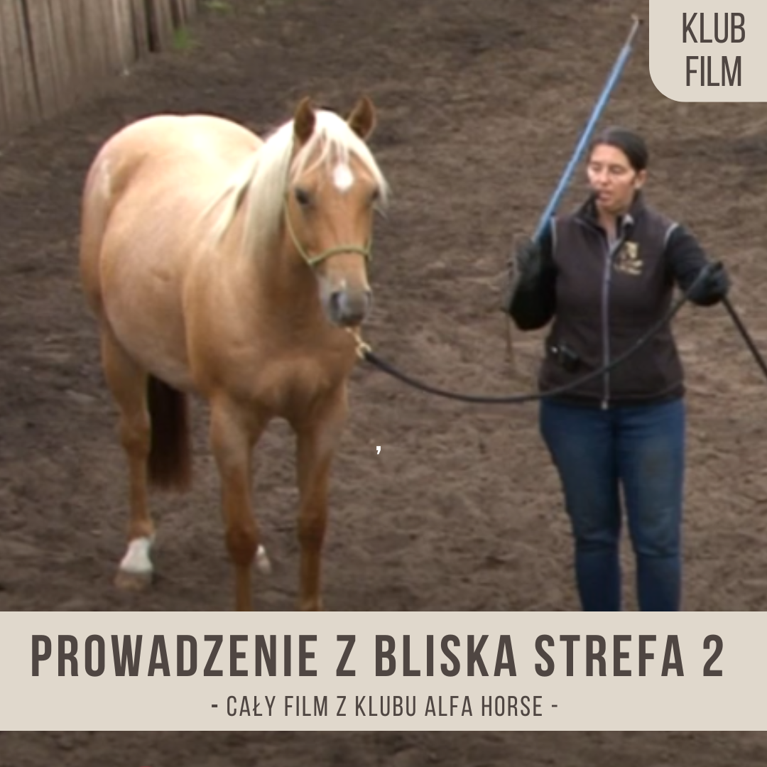 prowadzenie_z_bliska_strefa_druga
