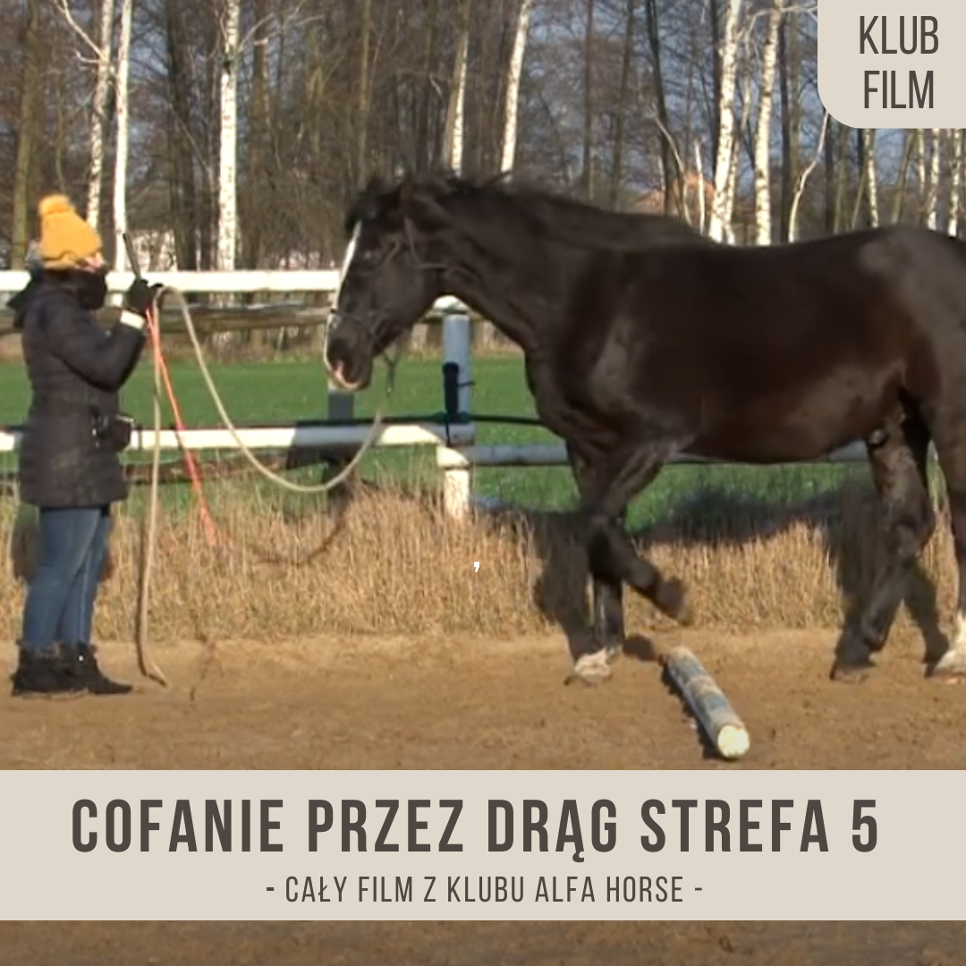 cofanie_przez_drag_strefa_piata