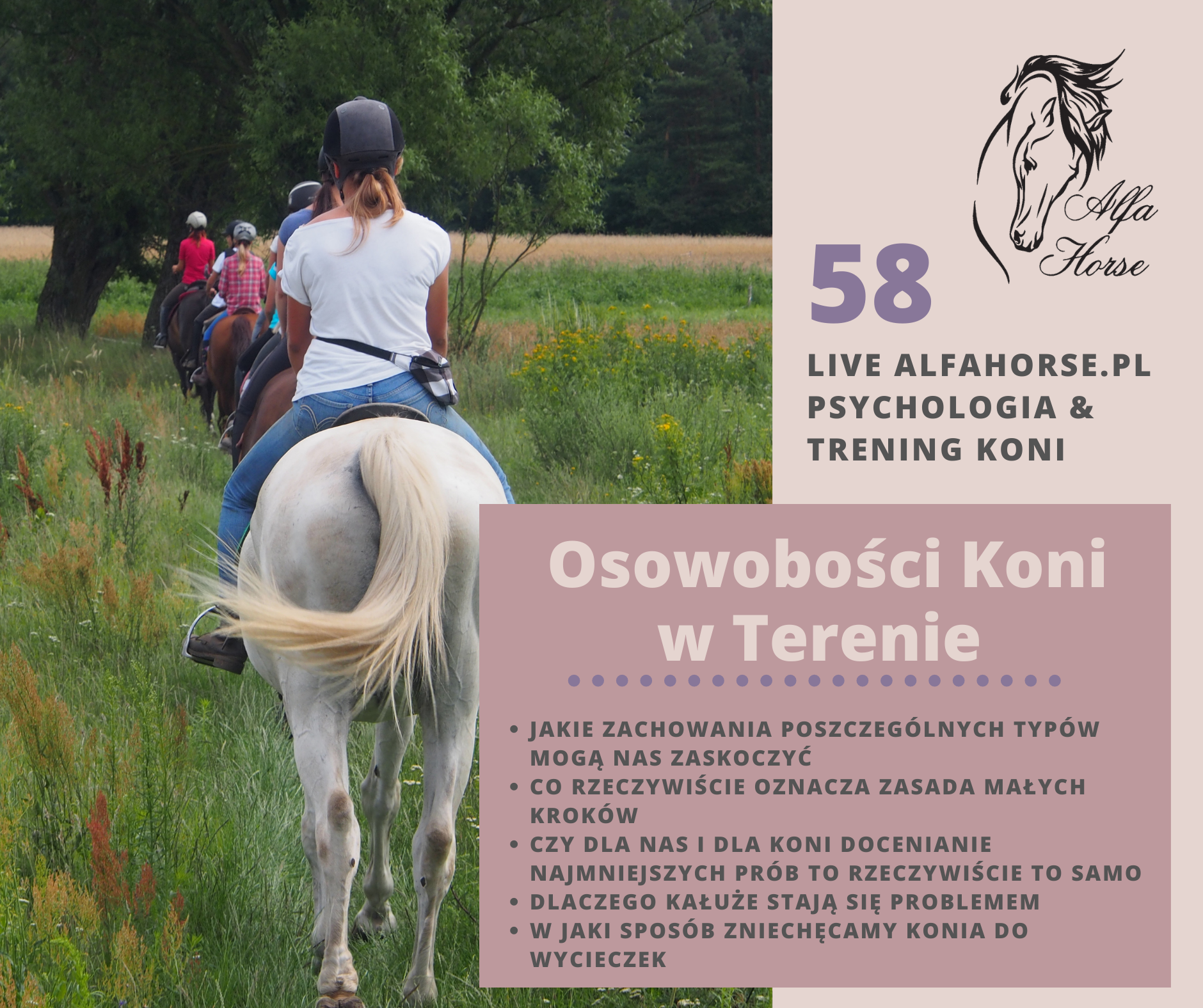 live_58_osobowosci_koni_w_terenie_trening_charakter_problemy