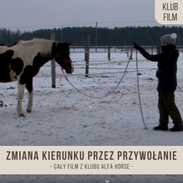 zmiana_kierunku_przez_przywplanie_poziomy_trudnosci