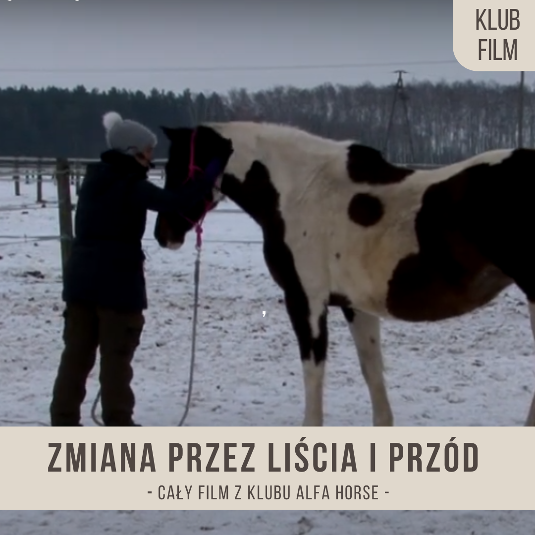 zmiana_przez_liscia_i_przod