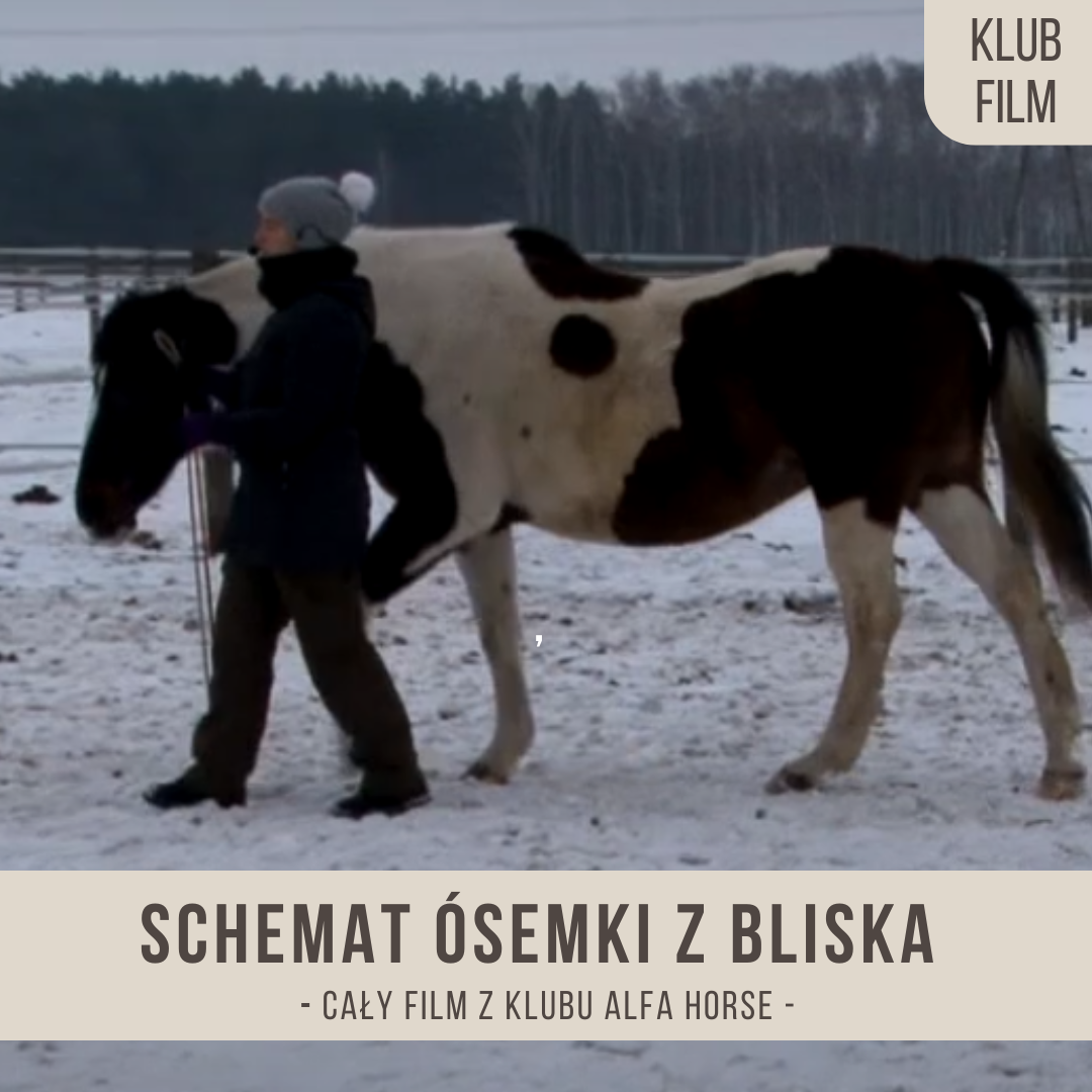 schemat_osemki_z_bliska
