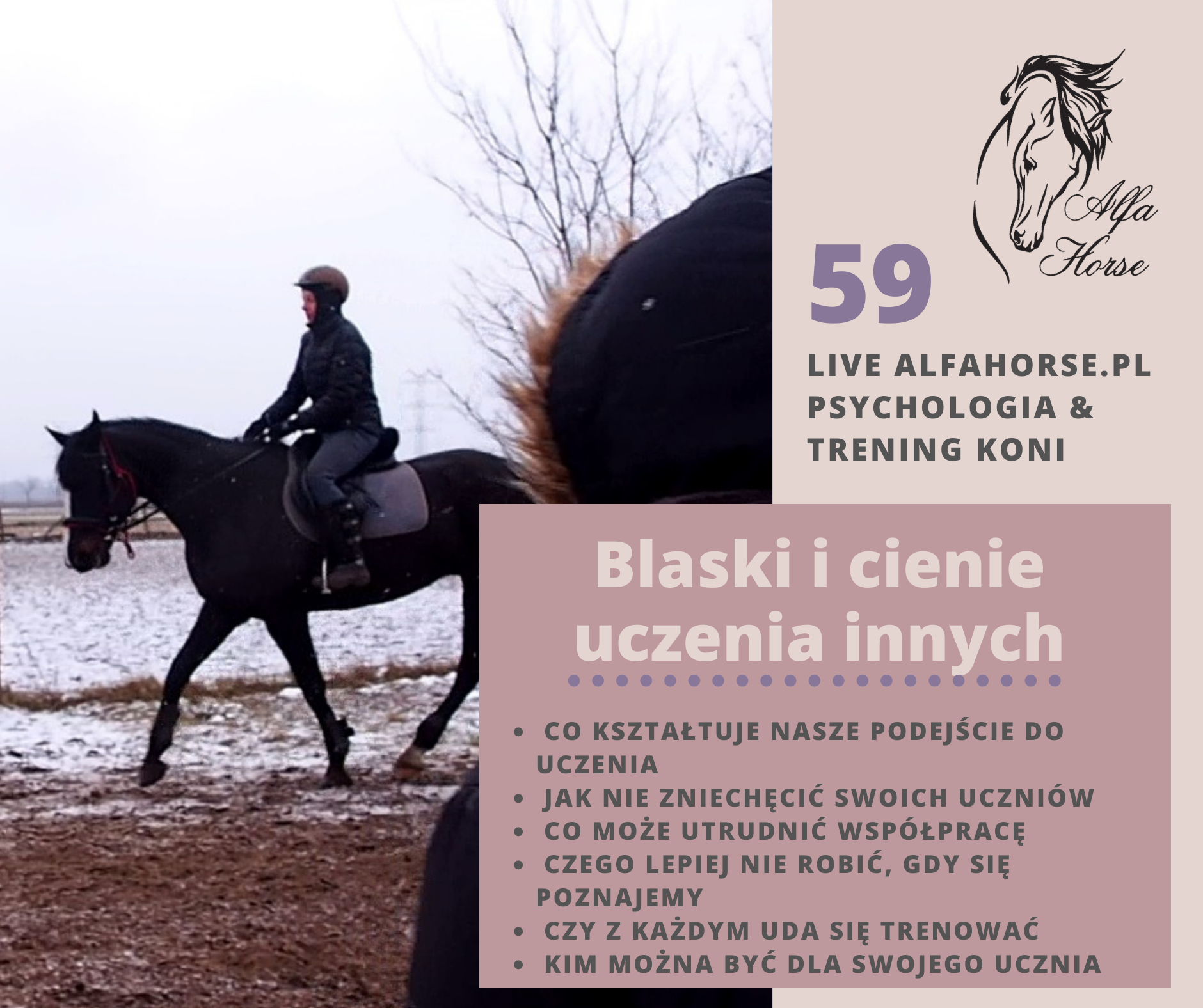 live_59_trening_koni_uczenie_ludzi_jazdy_konnej