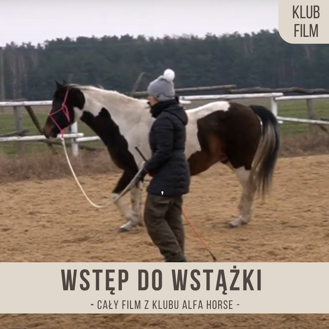 wstep_do_wstazki