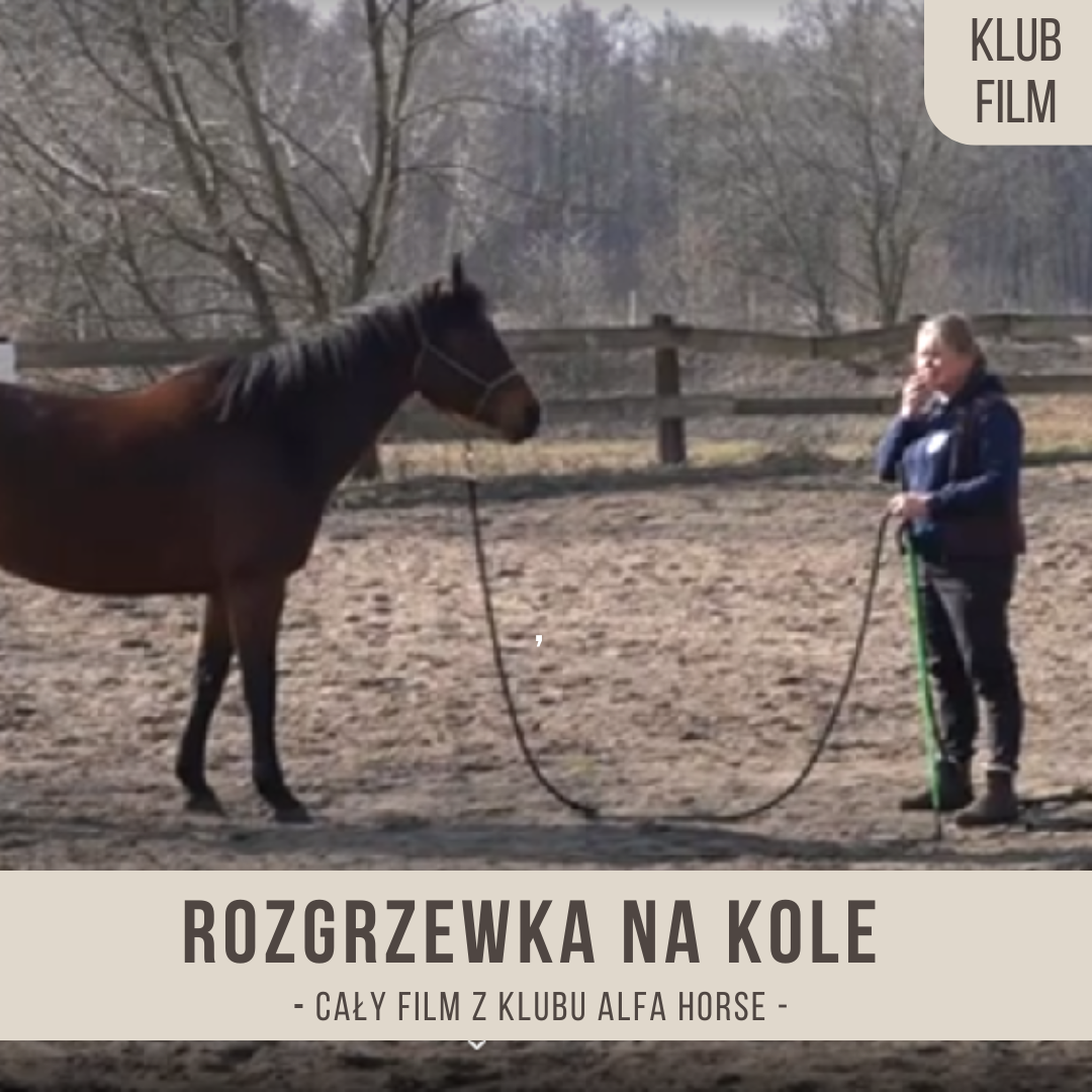 rozgrzewka_na_kole