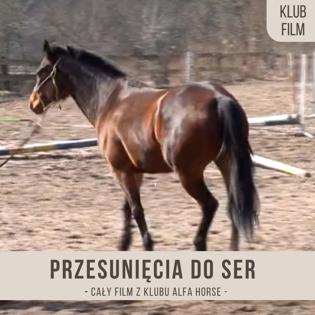 przesuniecia_do_SER