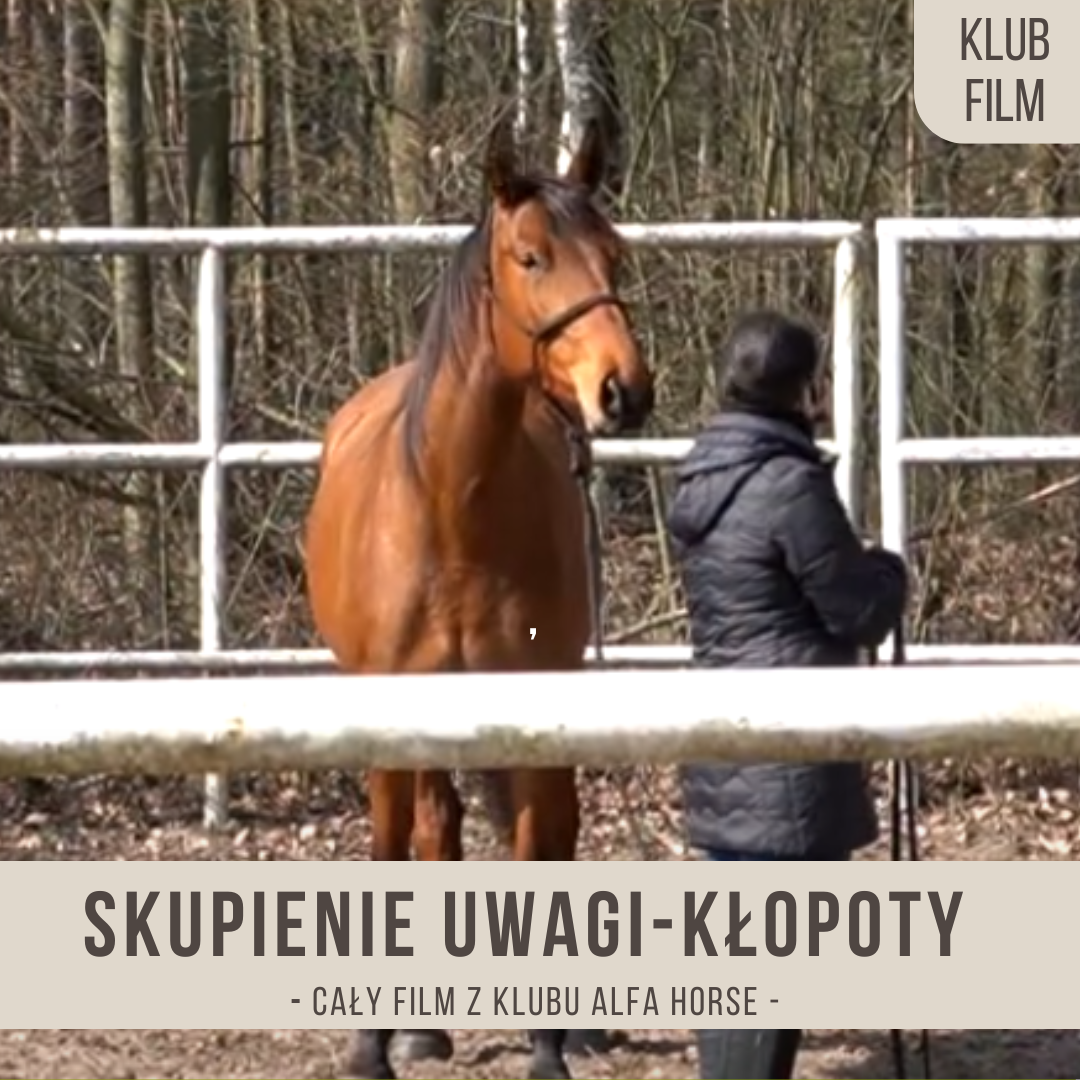 skupienie_uwagi_klopoty