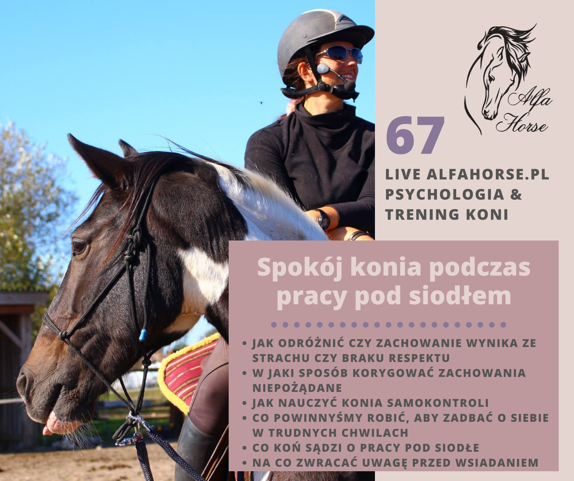 live_67_spokoj_konia_pod_siodlem_trening