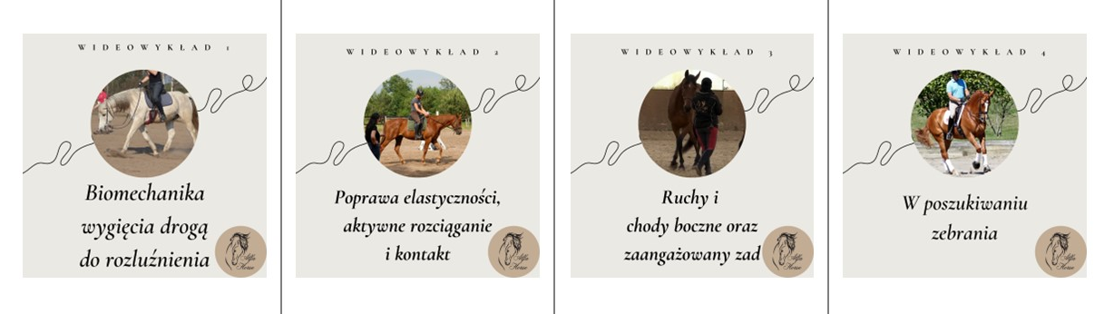 zestaw_wideowykladow_praca_w_ustawieniu