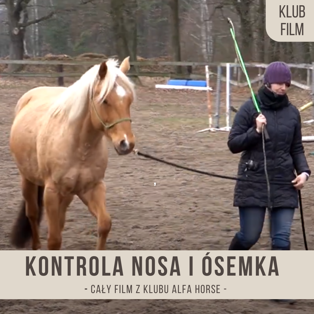 kontrola_nosa_w_prowadzeniu_z_bliska_i_poczatki_Osemki