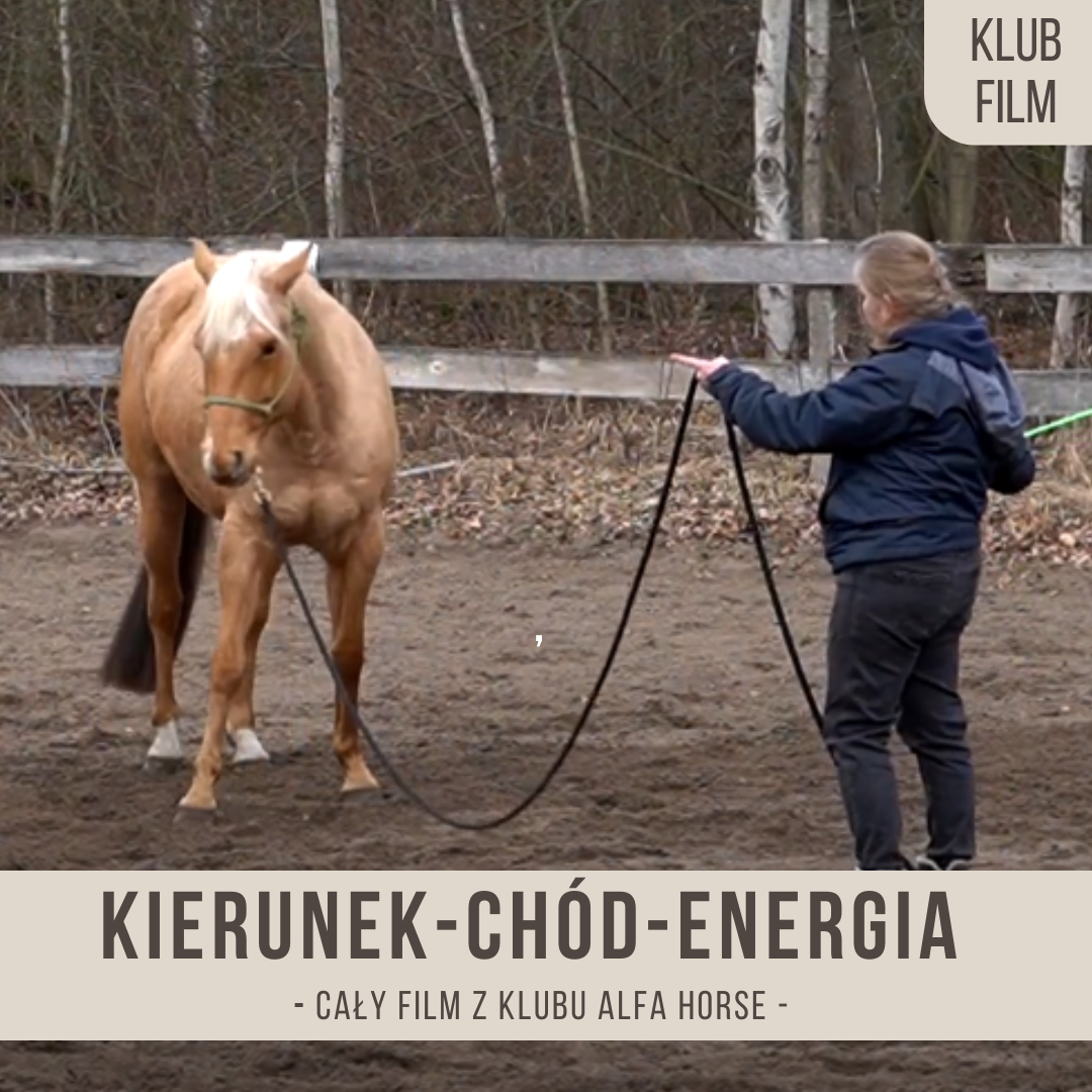 Kierunek_Chod_Energia