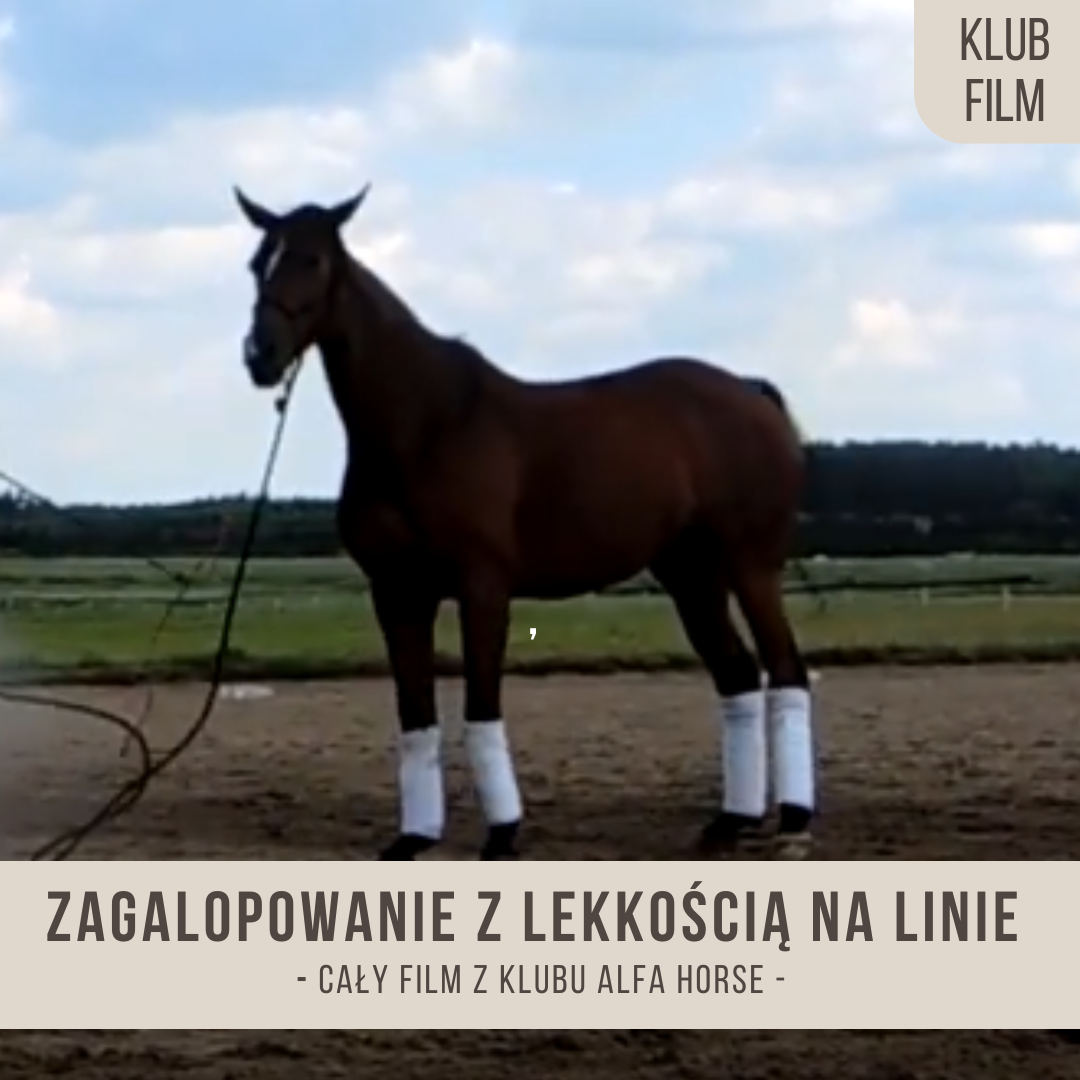 zagalopowanie_z_lekkoscia_na_linie