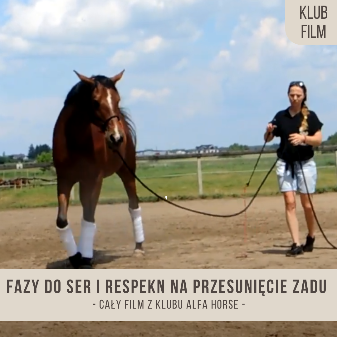 fazy_do_SER_i_respekt_na_przesuniecie_zasdu