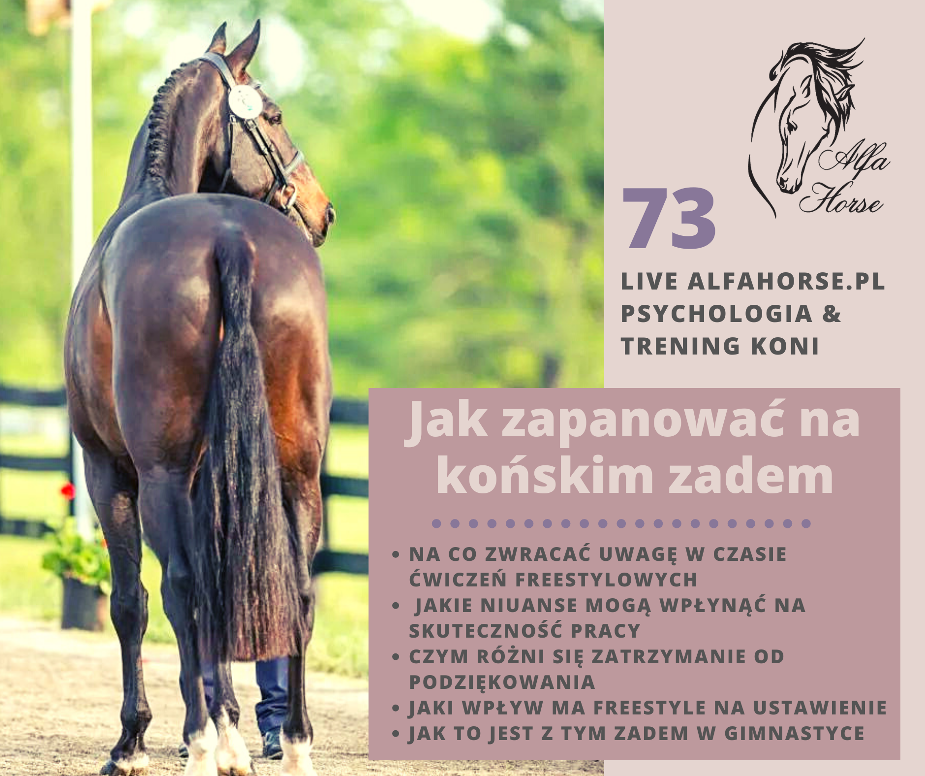 live_73_jak_zapanowac_nad_konskim_zadem_naturalny_trening_koni