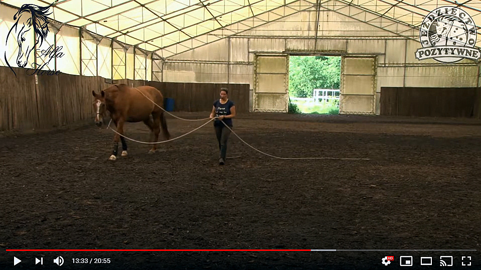 praca_na_dwoch_linach_trening_konia_1
