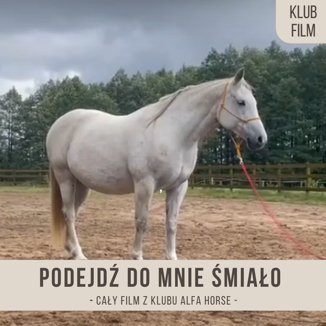 podejdz_do_mnie_smialo