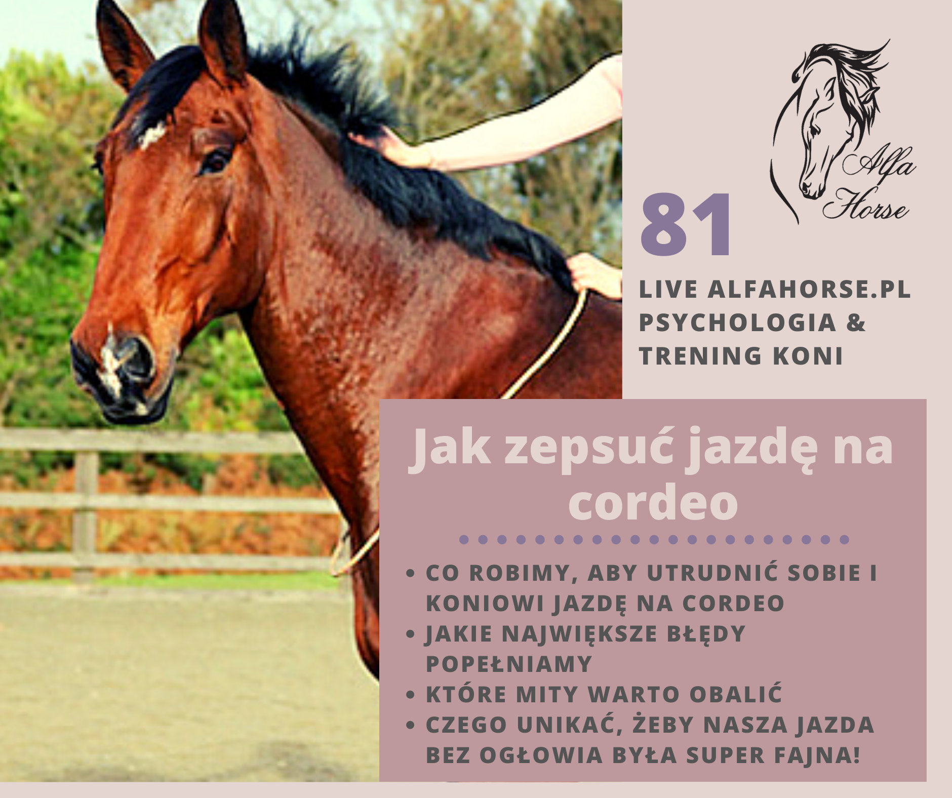 live_81_jak_zepsuc_jazde_na_cordeo