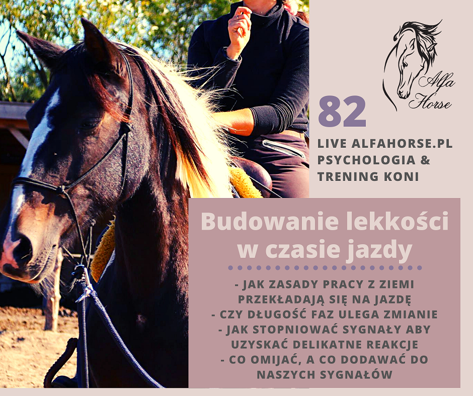 live_82_budowanie_lekkosci_w_czasie_jazdy