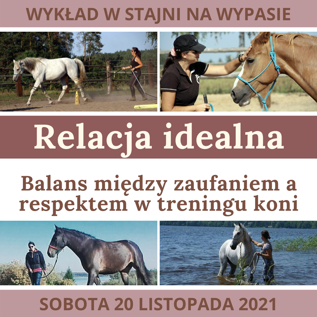 wyklad_relacja_idealna_balans_miedzy_zaufaniem_a_respektem