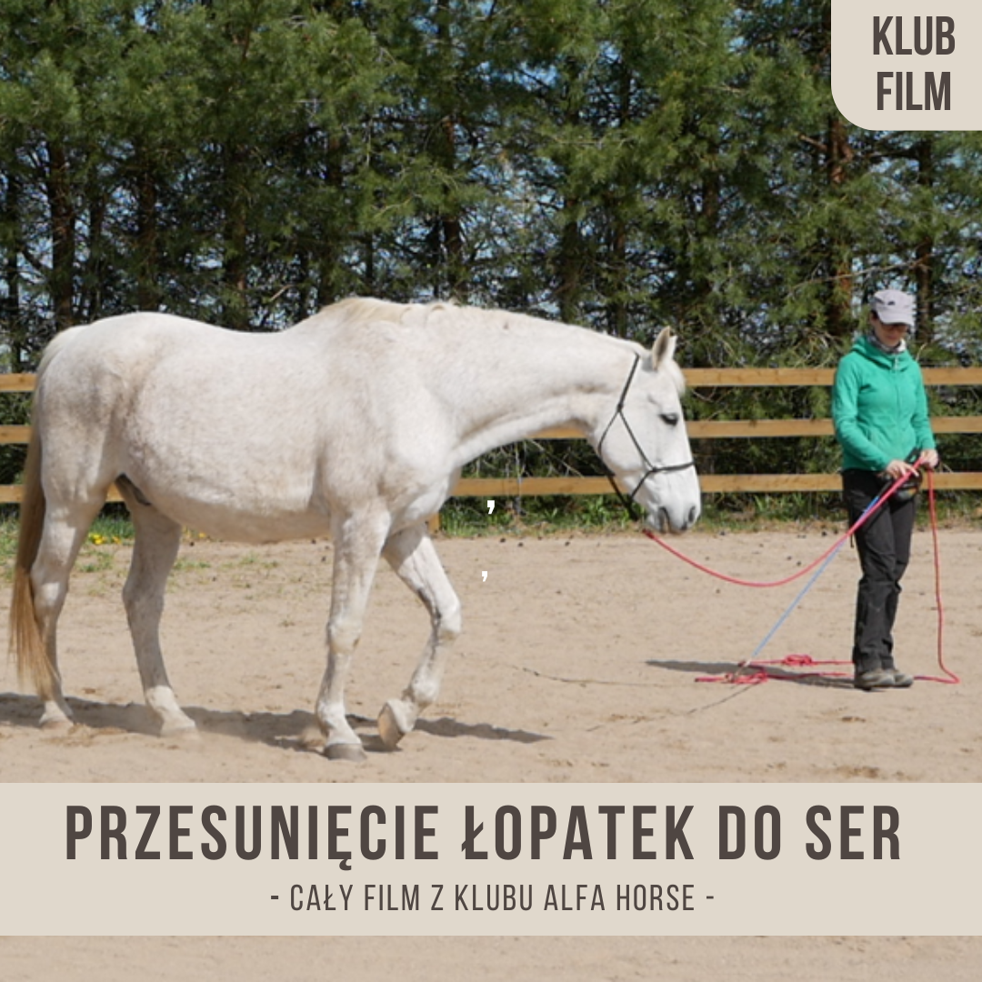 przesuniecie_lopatek_do_ser_z_pilnowaniem_respektu