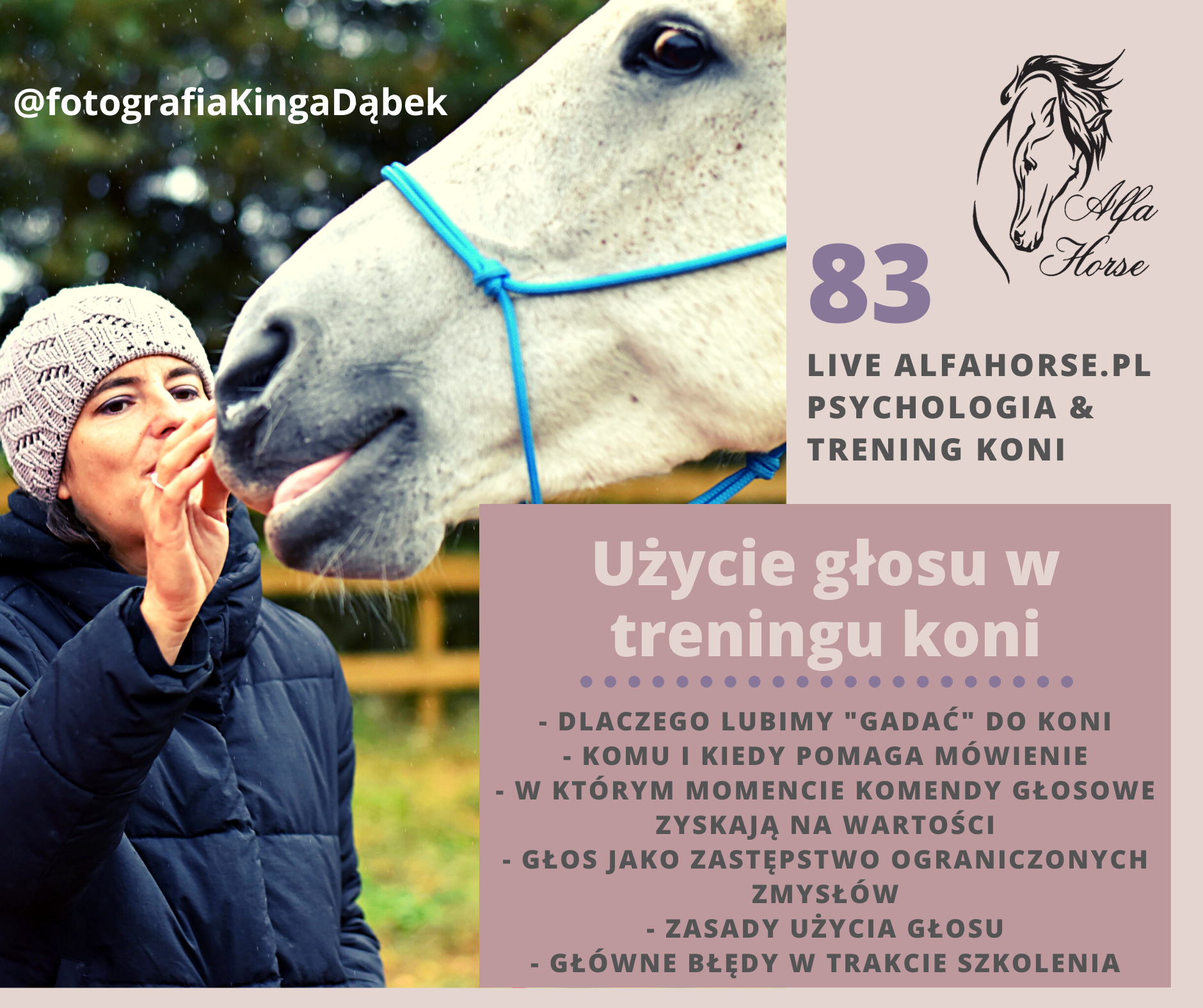 live_83_uzycie_glosu_w_treningu_koni